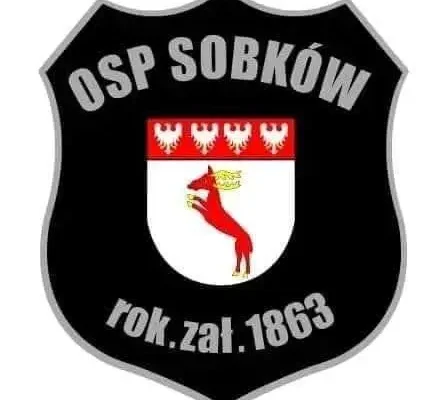 Wsparcie dla II Wojewódzkiego Spływu MDP w Sobkowie