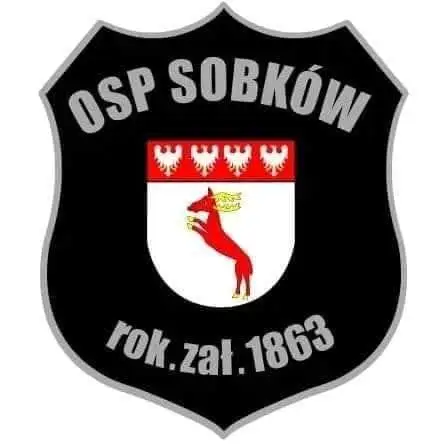 Wsparcie dla II Wojewódzkiego Spływu MDP w Sobkowie