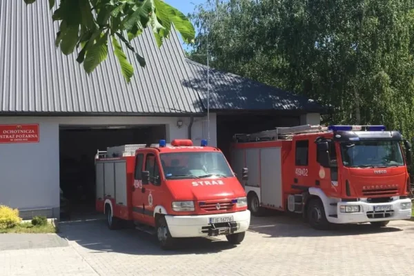 Pożar lasu w Zegartowicach – strażacy walczą z ogniem