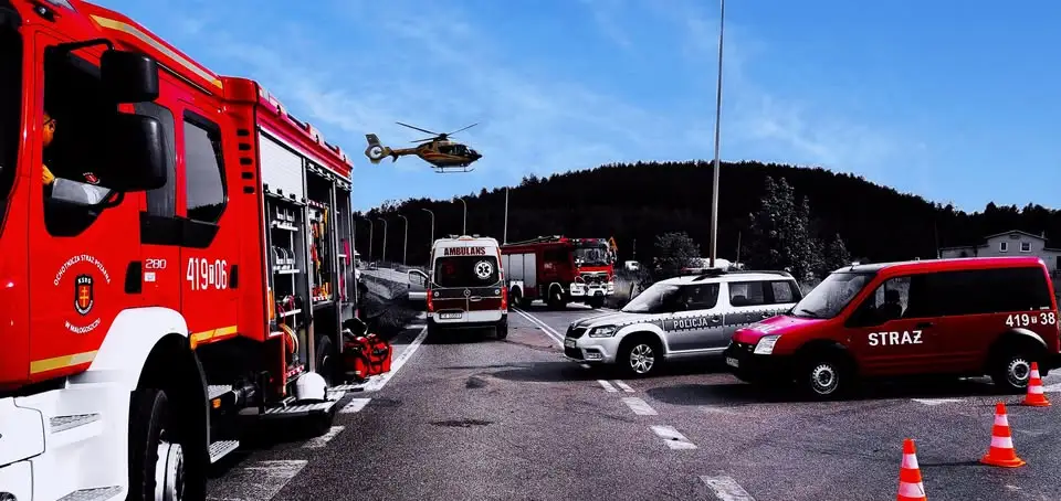 Agresywne owady w Woli Tesserowej – interwencja strażaków