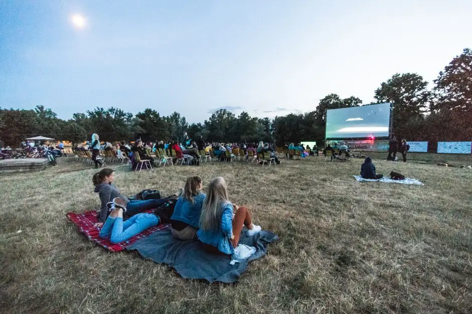 Finał Kina Letniego w Małogoszczu: Wybierz film animowany na ostatni seans!
