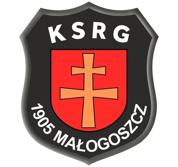 Ewakuacja osoby poszkodowanej w Małogoszczu – interwencja służb