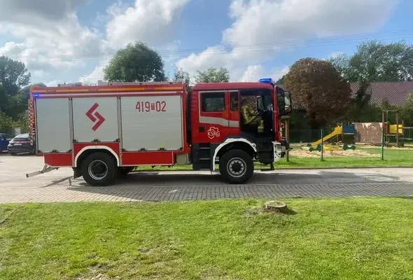 Interwencja strażaków w Mierzwinie. Powodem owady błonkoskrzydłe