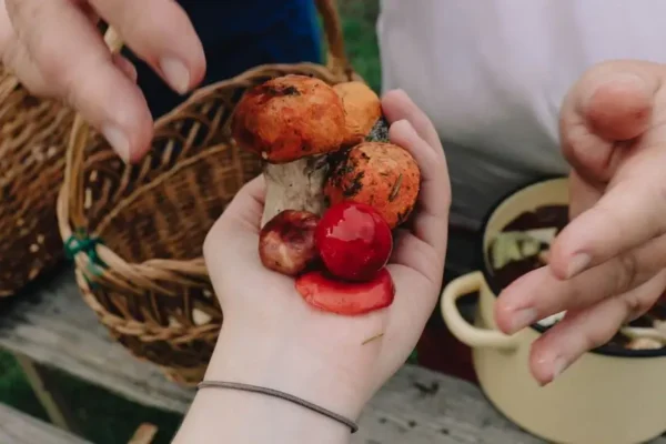 Bezpieczne grzybobranie. Seniorzy z Ożarowa nagrali film profilaktyczny