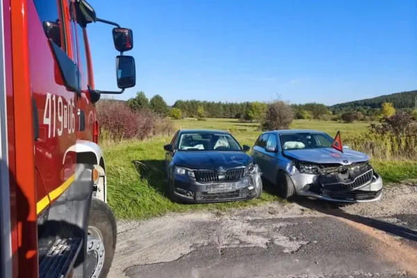 Kolizja dwóch pojazdów na DW 728 w Małogoszczu — interweniowały służby