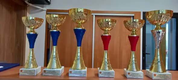 Mistrzostwa Województwa w biegach przełajowych: 6 pucharów dla naszej szkoły