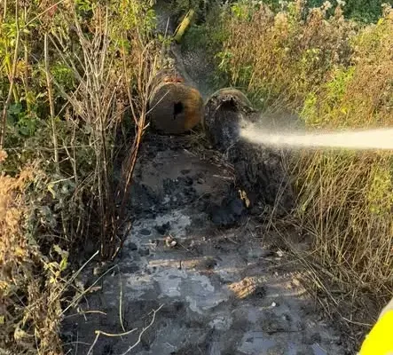 Pożar traw pod liniami energetycznymi w Imielnie – akcja strażaków
